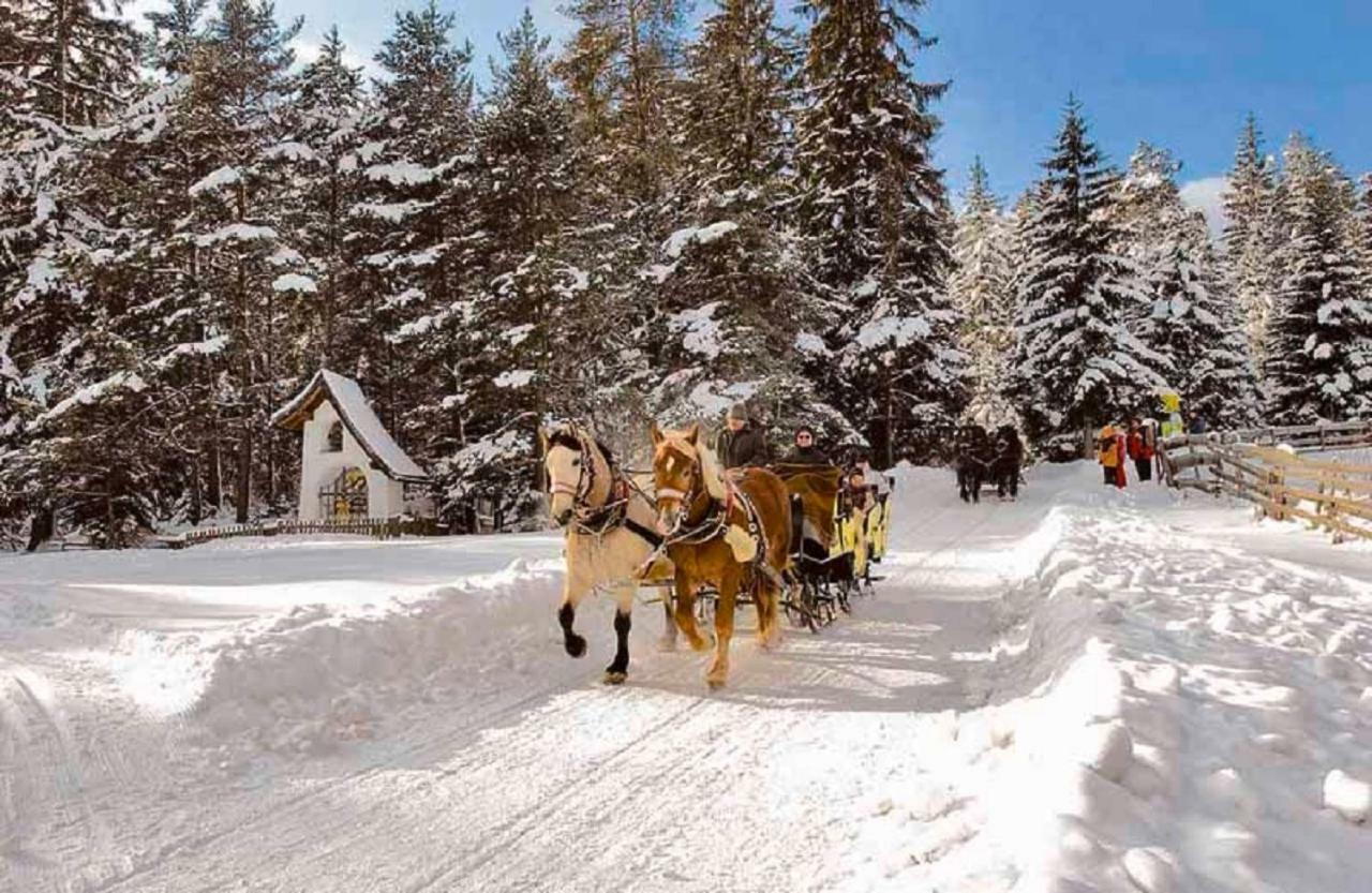 Appartmenthaus Birkenwald เซเฟลด์ อิน ทิโรล ภายนอก รูปภาพ