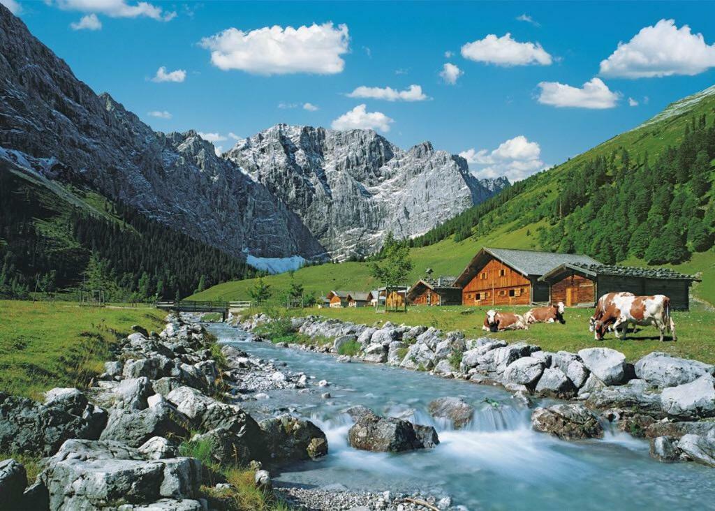 Appartmenthaus Birkenwald เซเฟลด์ อิน ทิโรล ภายนอก รูปภาพ